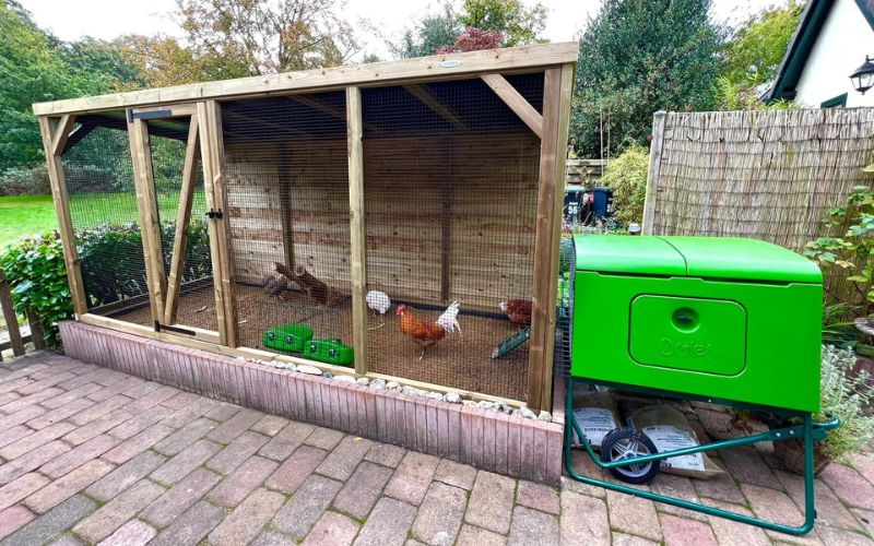 Maatwerk kippenren maken voor kunststof kippenhok Omlet Cube