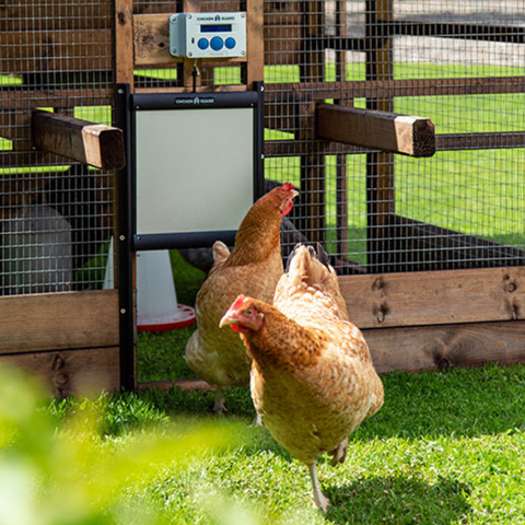 Chickenguard Premium: Automatische Kippenhok Deuropener van Kunststof