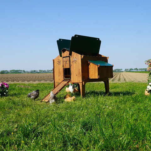 Kippenhok_Cucciolotta_Polly_Duplex_4XL zijaanzicht buien met kippen