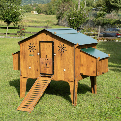  POLLY_DUPLEX 
kippenhok kippen op pootjes