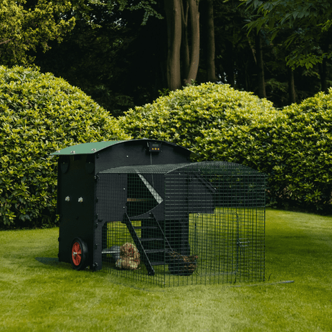 Sfeerfoto Nestera kunststof kippenhok groot met 2 meter ren schuin vooraanzicht, in een achtertuin op het gras. 