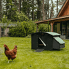Nestera kunststof kippenhok groot sfeerfoto vooraanzicht, op het gras in een achtertuin met een kip die voor het kippenhok loopt.