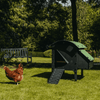 Sfeerfoto Nestera kunststof kippenhok op poten, schuin vooraanzicht op het gras in een achtertuin. Links voor het kippenhok loopt een kip op het gras.